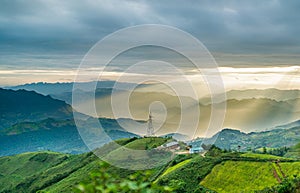 TÃÂ  xÃÂ¹a